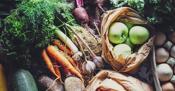 The Role of Nutrition in Spinal Health image